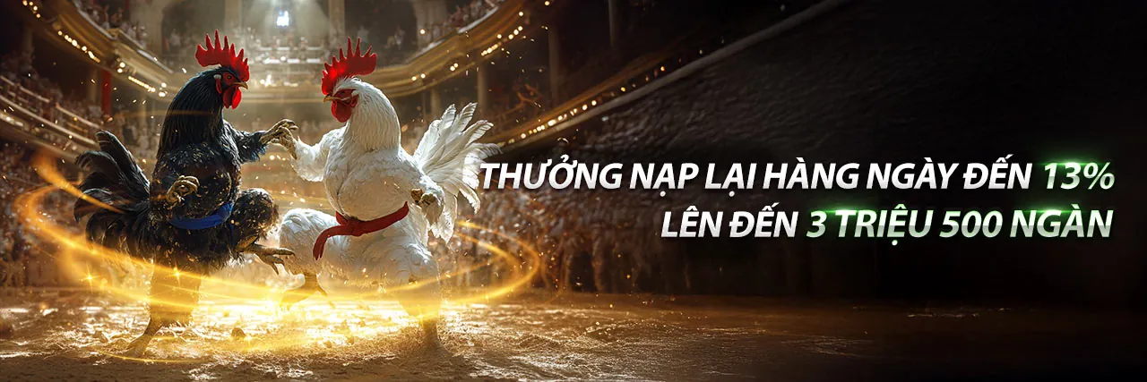 Đá gà trực tuyến Wstar777 chính thức 2026